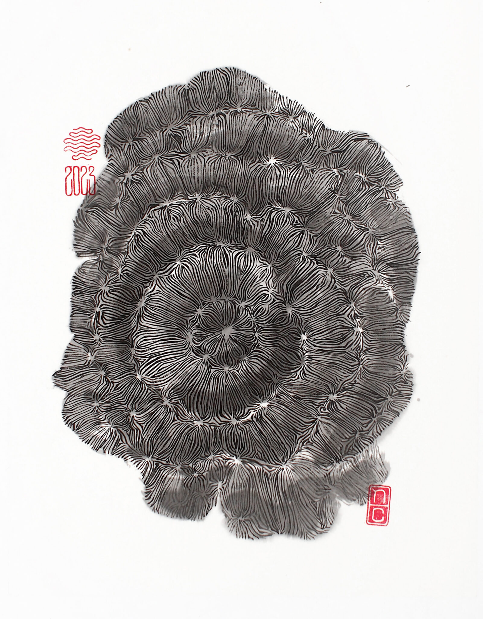 nc-2023-46x35b