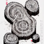 NC-2024-65x50 par CRANIL Nicolas