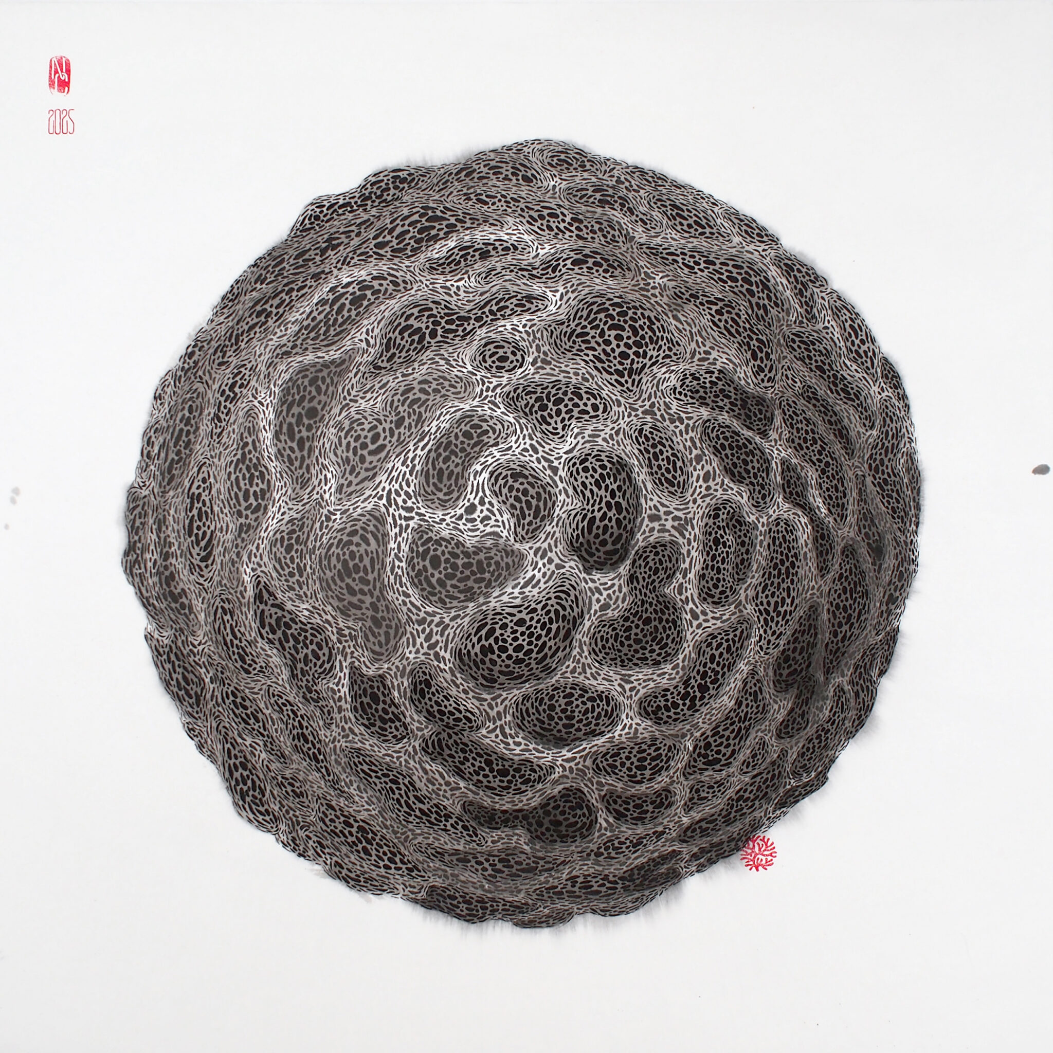 nc-2025-80x80