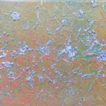 Givre-sur-fort-d-automne par Sébastien Hauduc