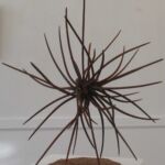 Pic de colère par Sébastien Hauduc