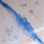 entre 2 éclaircis par Sébastien Hauduc