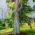 Parc par Christelle silvestre