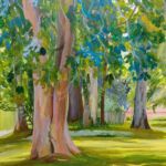 Parc rochegude par Christelle silvestre