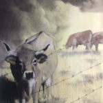 Les vaches de Domi (2)