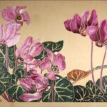 Tanigami Cyclamens par ANNENKOFF Natalia et Nicolas