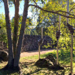 Parmi les trembles, suspendues