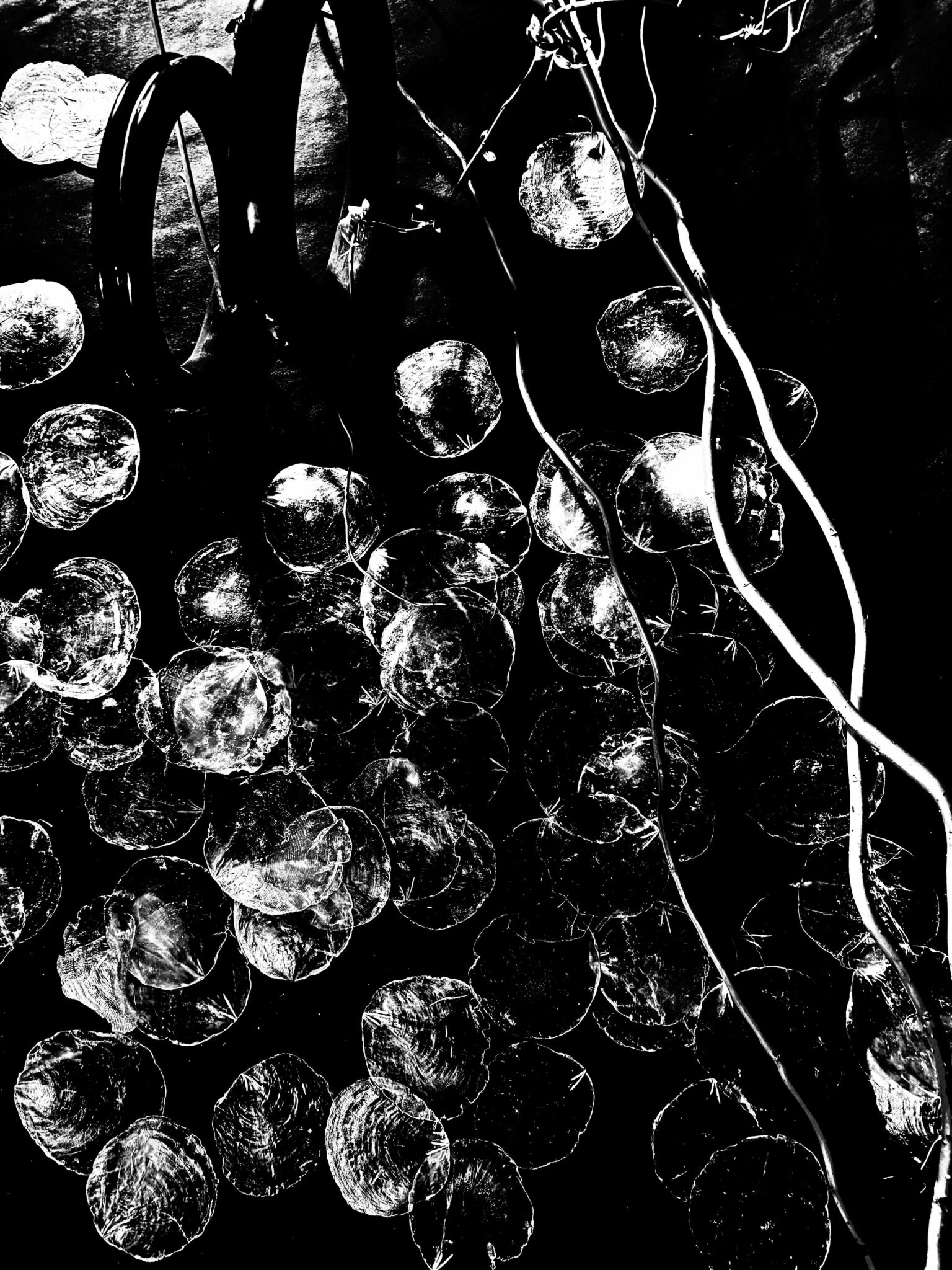 live-artistic-performance-3