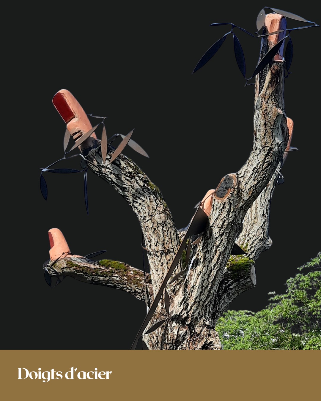 doigts-dacier