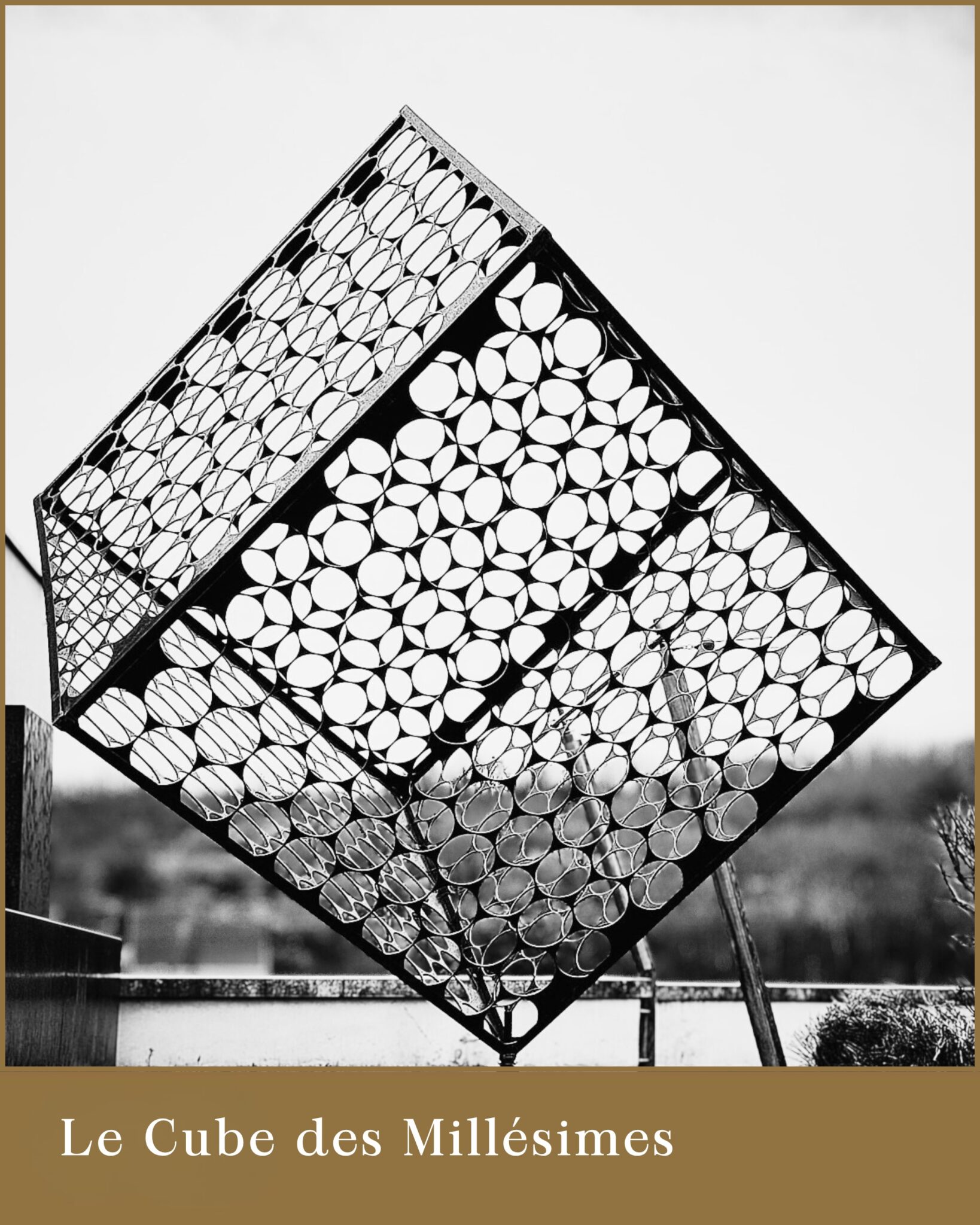 le-cube-des-millesimes
