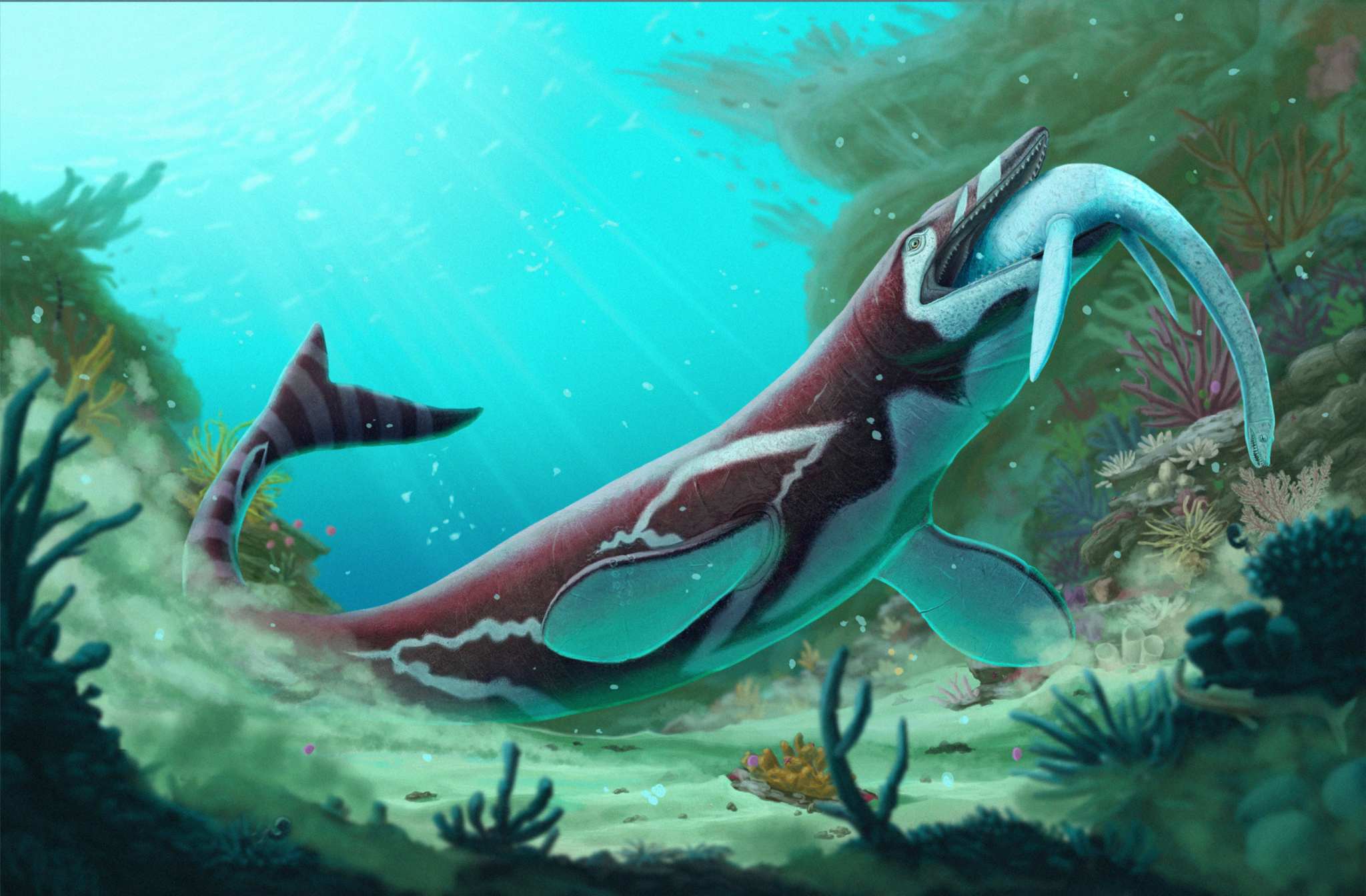 jormungandr-mange-jeune-elasmosaurus