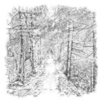 Cheminement 1 (2) par Thérèse Danieau