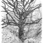 Inspiration par Thérèse Danieau