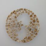 PXL_20260212_153313702~2 par Ludovic Mangelinck