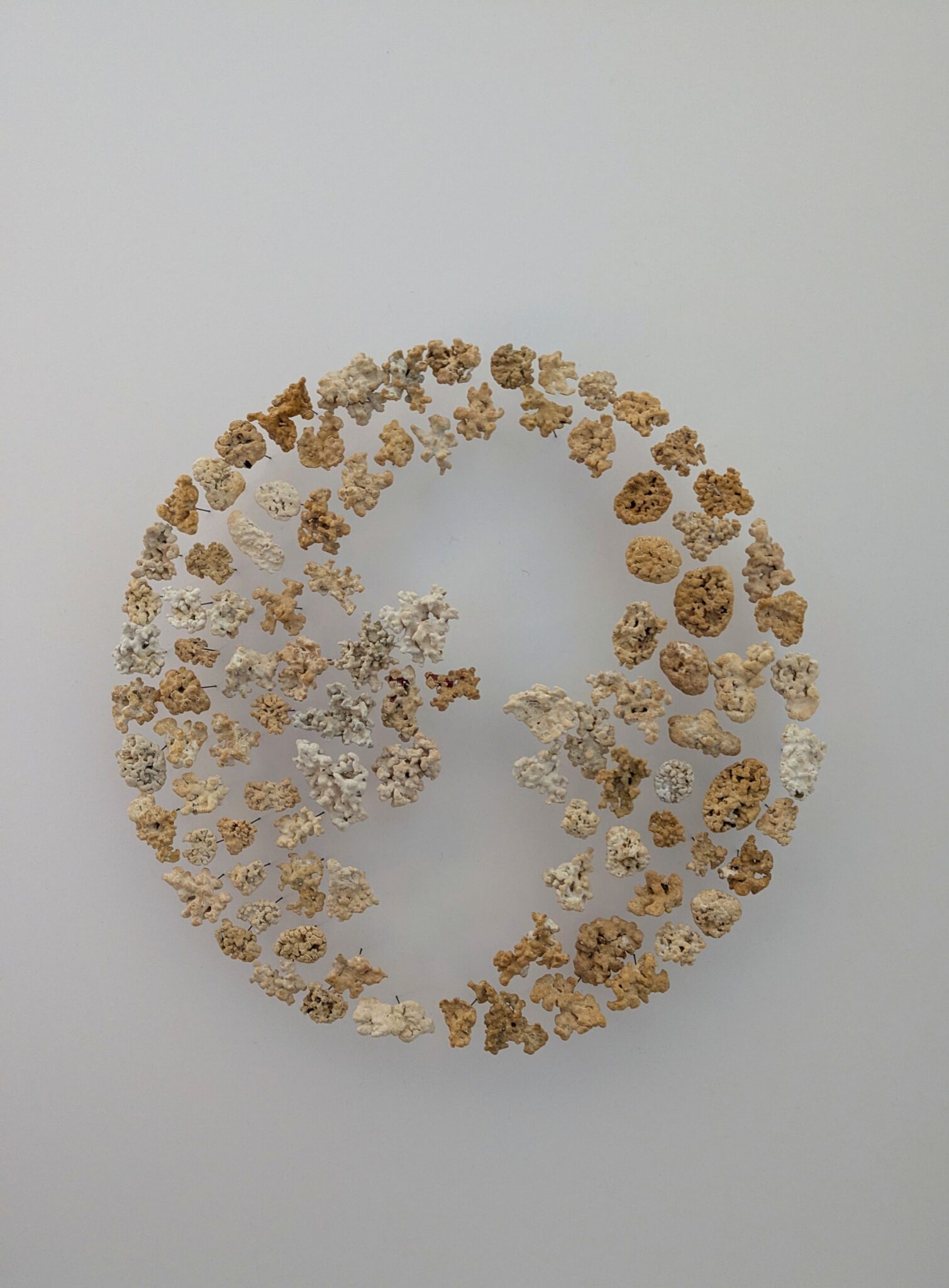 pxl_20260212_1533137022