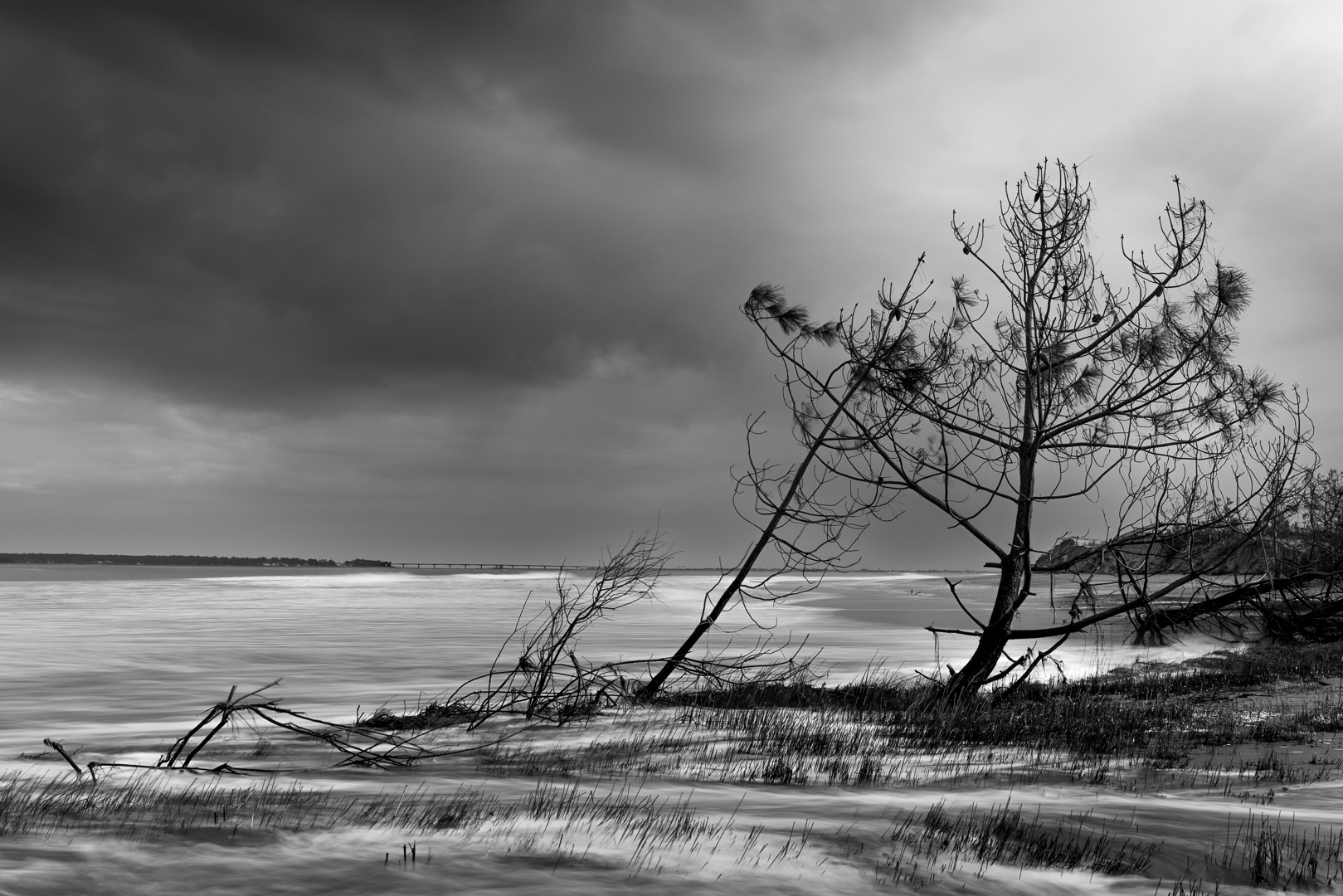 arbres-pont-orage-dune-erosion