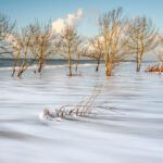 buisson-arbres-mer-ecume-ciel par Julien LAURENT - Embruns Photographiques