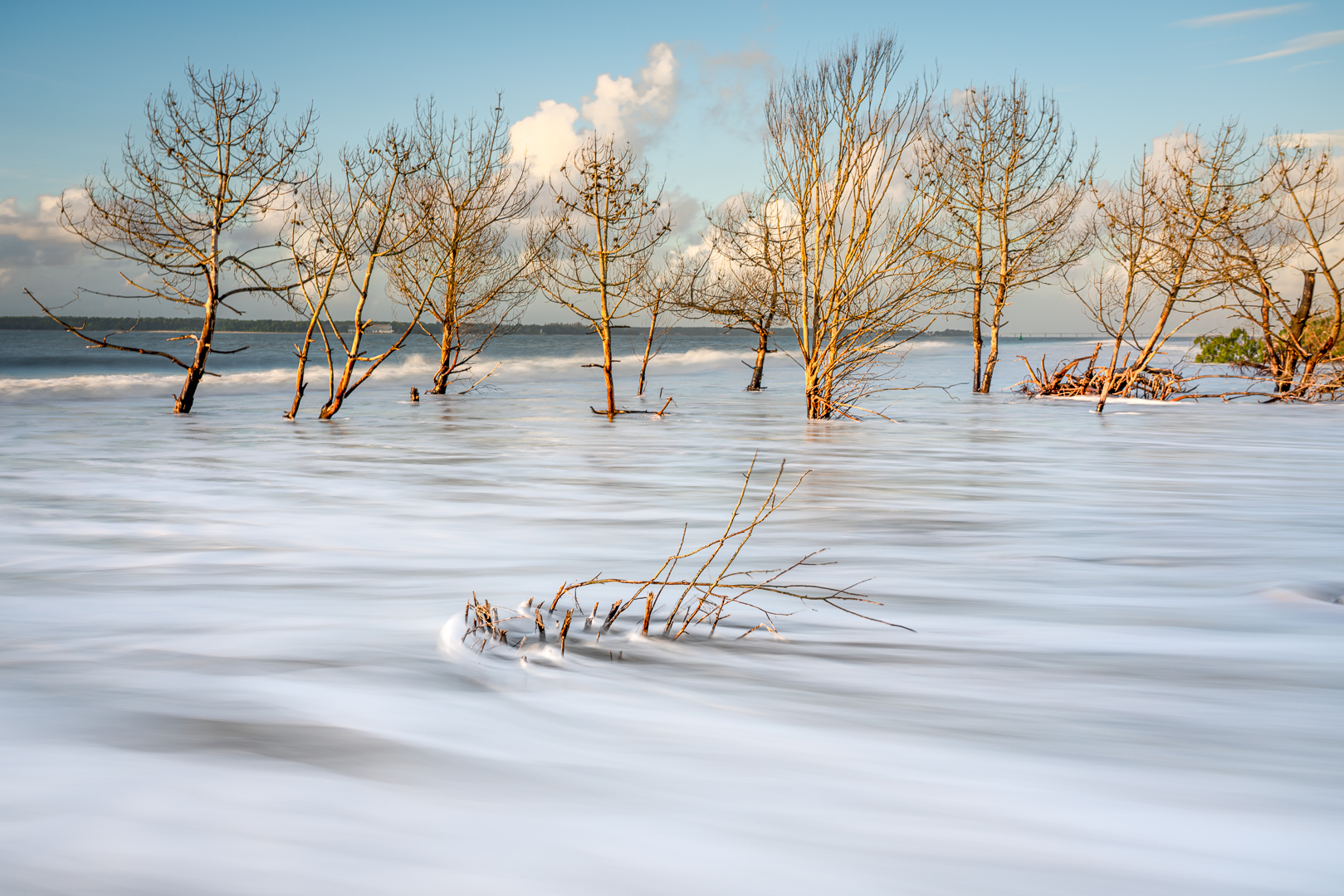 buisson-arbres-mer-ecume-ciel