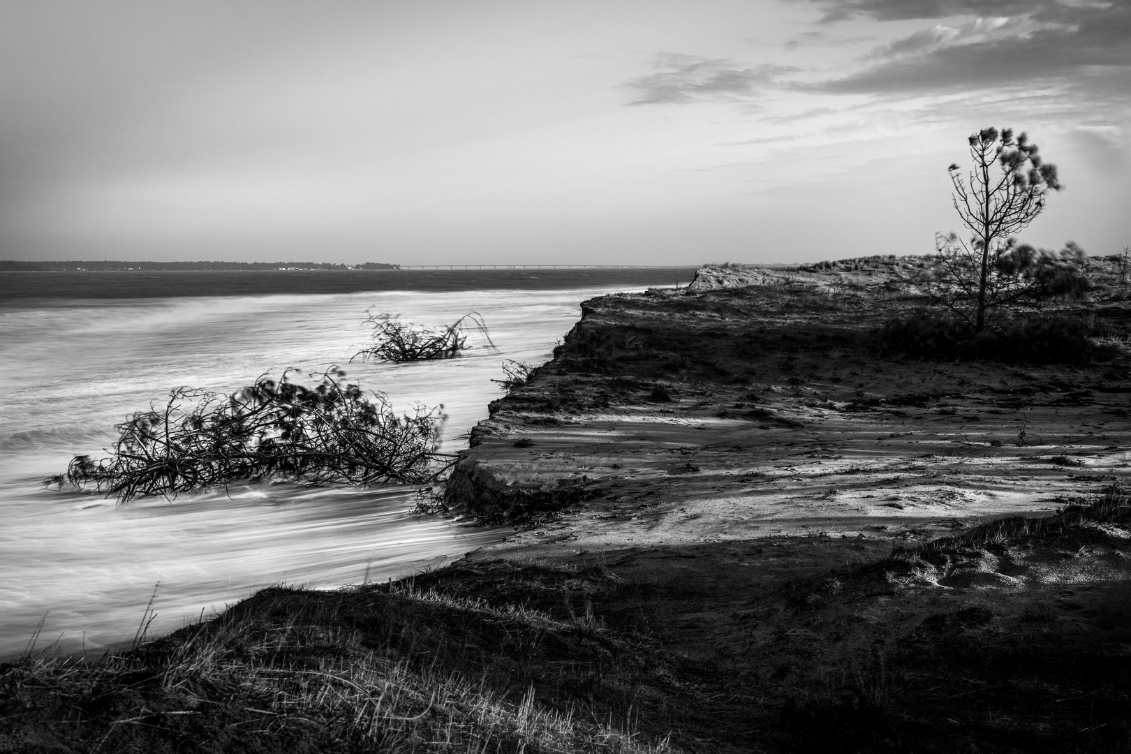 dune-pins-mer-erosion-pont