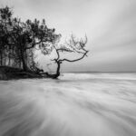 pin-dune-ecume-mouvement