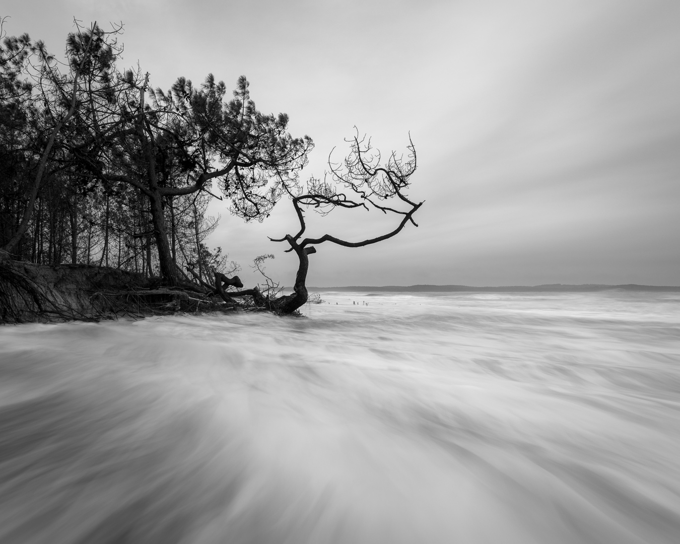 pin-dune-ecume-mouvement