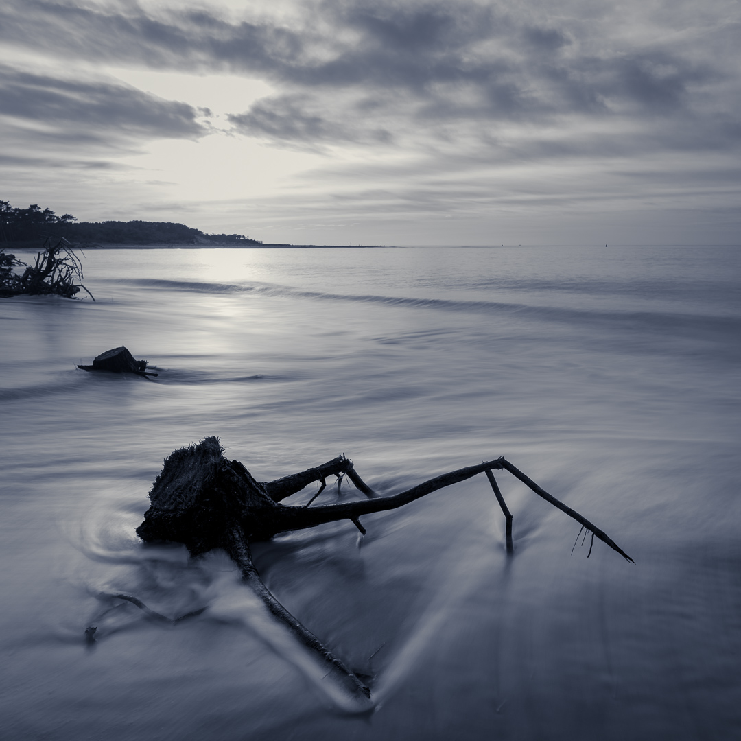 souche-mer-pattes-vagues-ciel