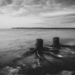 troncs-souches-mer-erosion