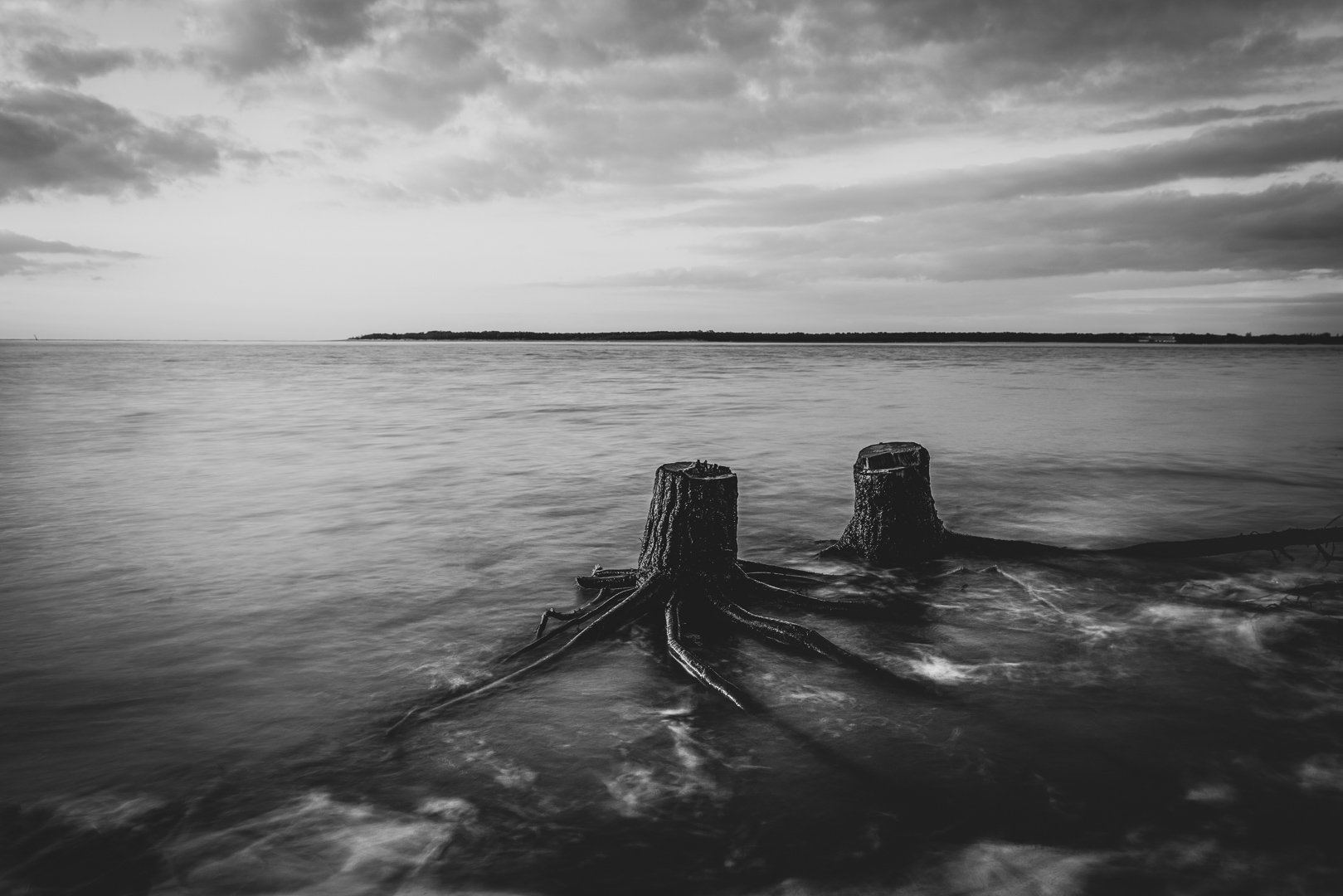 troncs-souches-mer-erosion