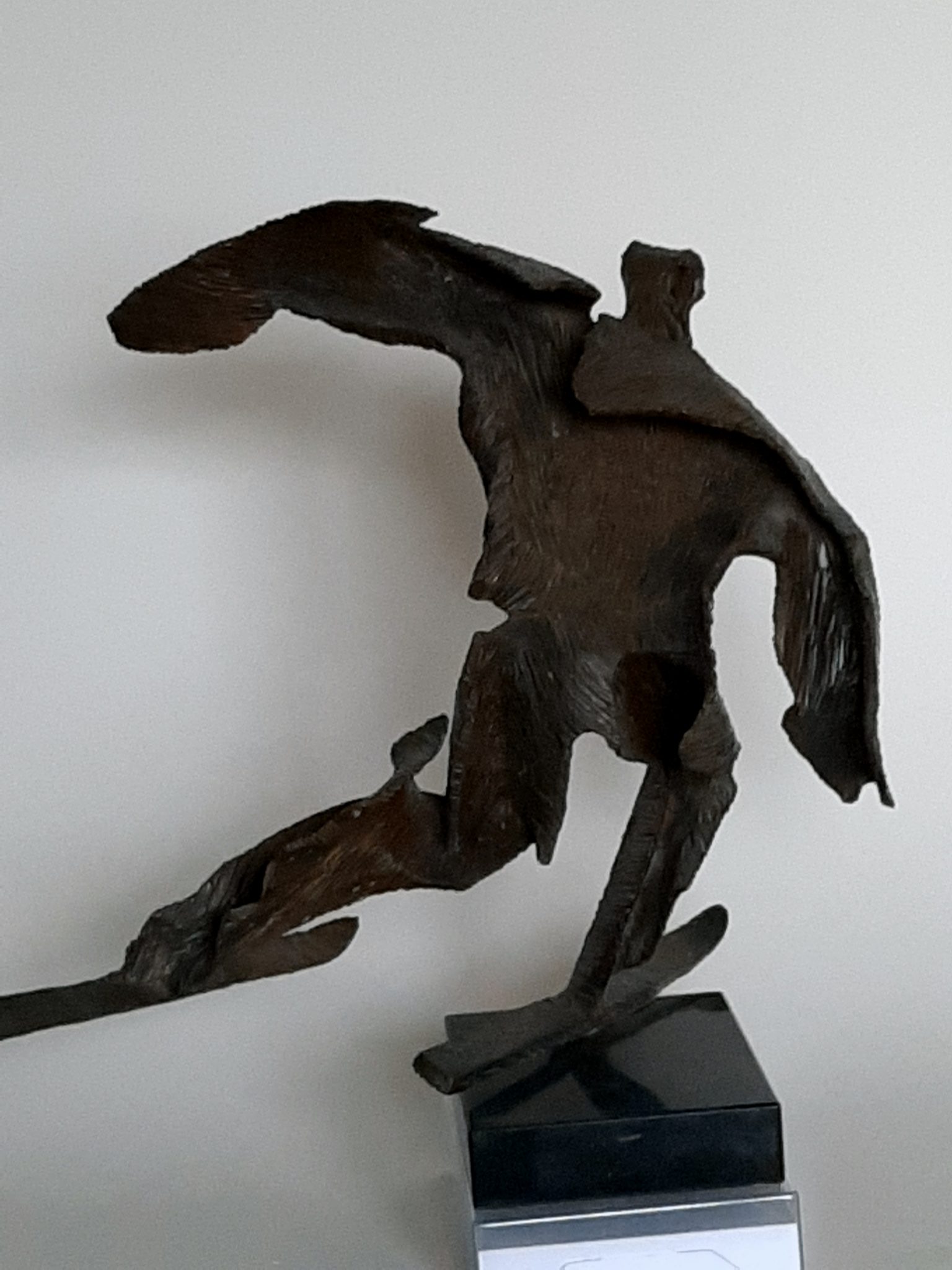 skieur