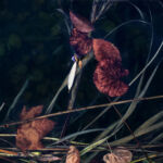 les Eaux sombres #03 par michele sainte-beuve