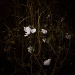 les Eaux sombres#14 par michele sainte-beuve