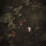 les Eaux sombres#22 par michele sainte-beuve