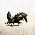 les messagers d\'Odin #13 par michele sainte-beuve