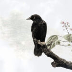 les messagers d\'Odin #15 par michele sainte-beuve