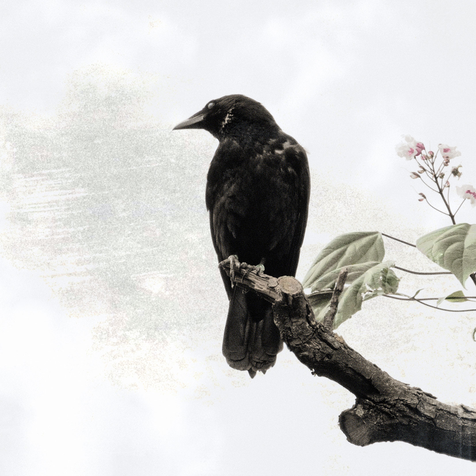 les-messagers-dodin-15