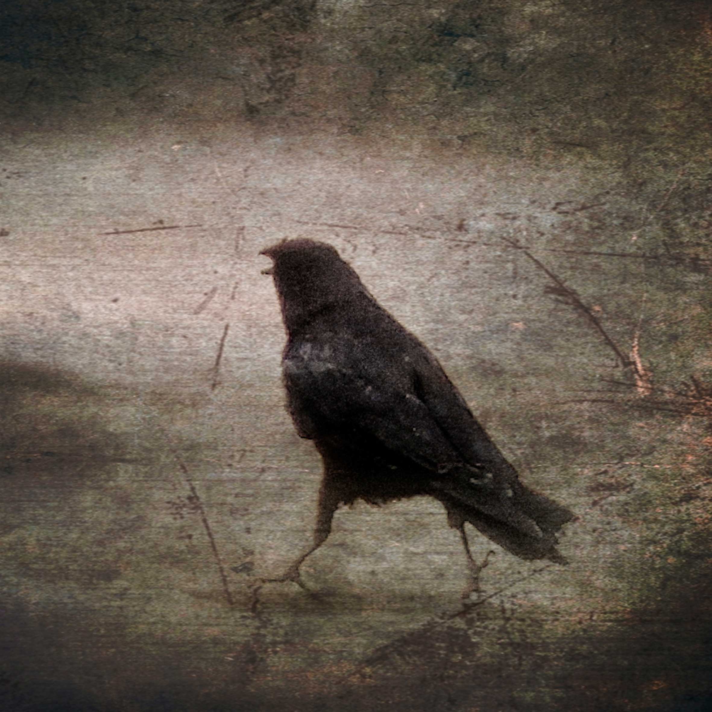 les-messagers-dodin-31