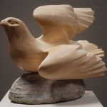 Rapace en équilibre