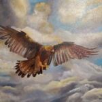 2018 Aigle par 52885