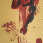 IMG_20250807_1854299~2o