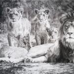 Prêt à l\'Attaque ! par Michel Emile Arthur Schaillée