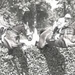 STEEPLE par Michel Emile Arthur Schaillée