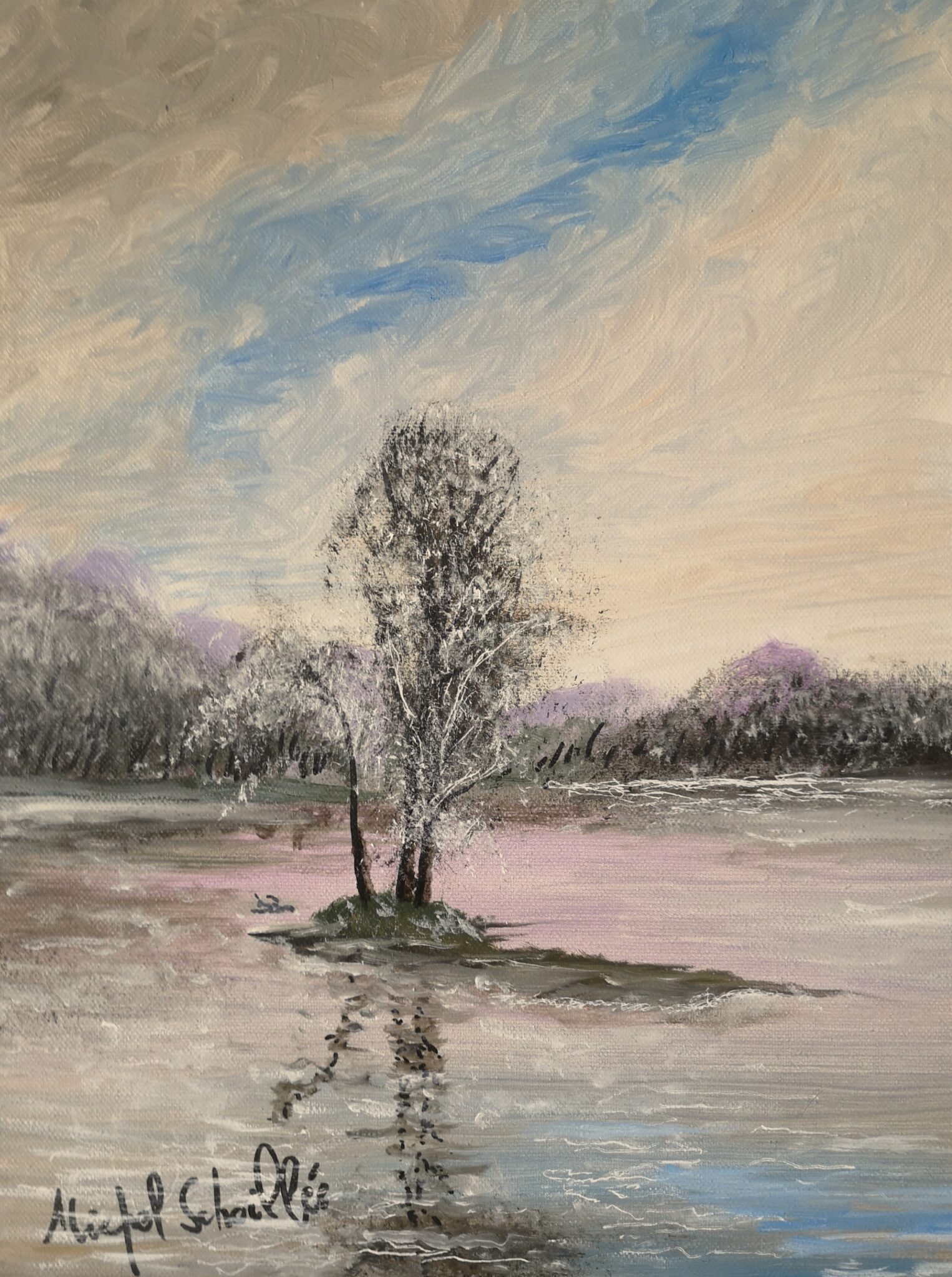 hiver-2012-la-loire-gelee