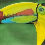 Touc\' emeraude par Kris Evano