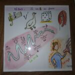 La voie voix des femmes par Pouget Elise (art vibratoire roussette)