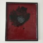 Coquelicot par Jimmy Gosselin