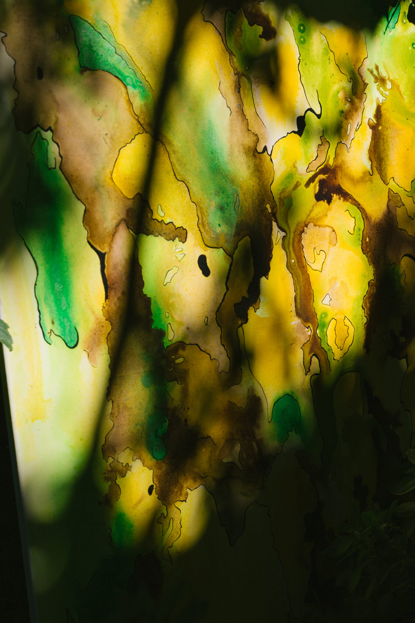 faune-flore-2