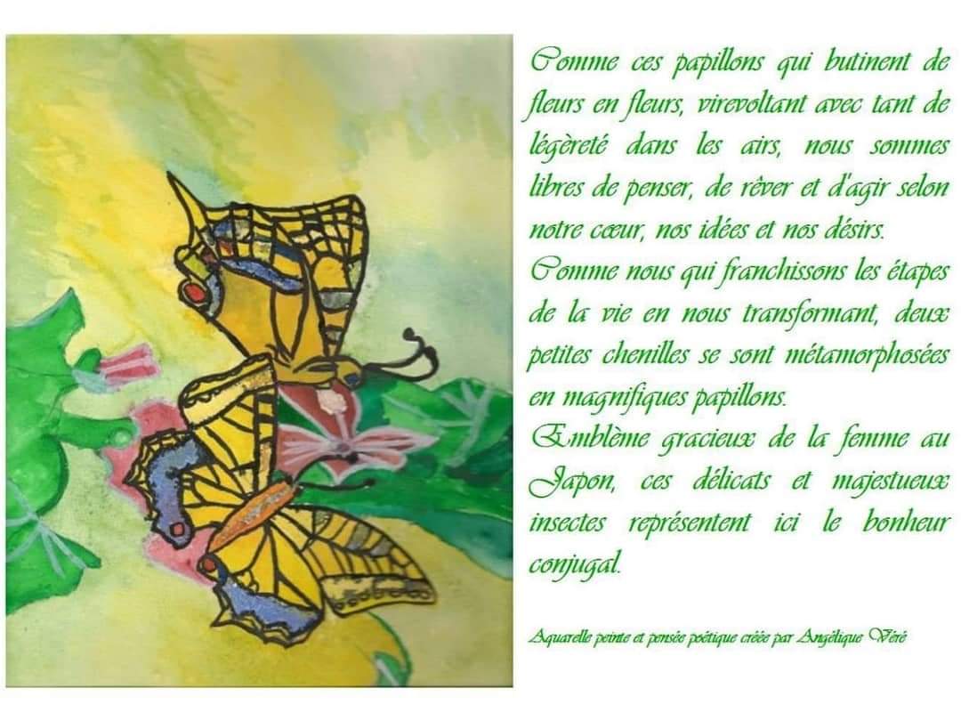 les-papillons-2