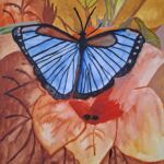 Le papillon par Angélique Véré