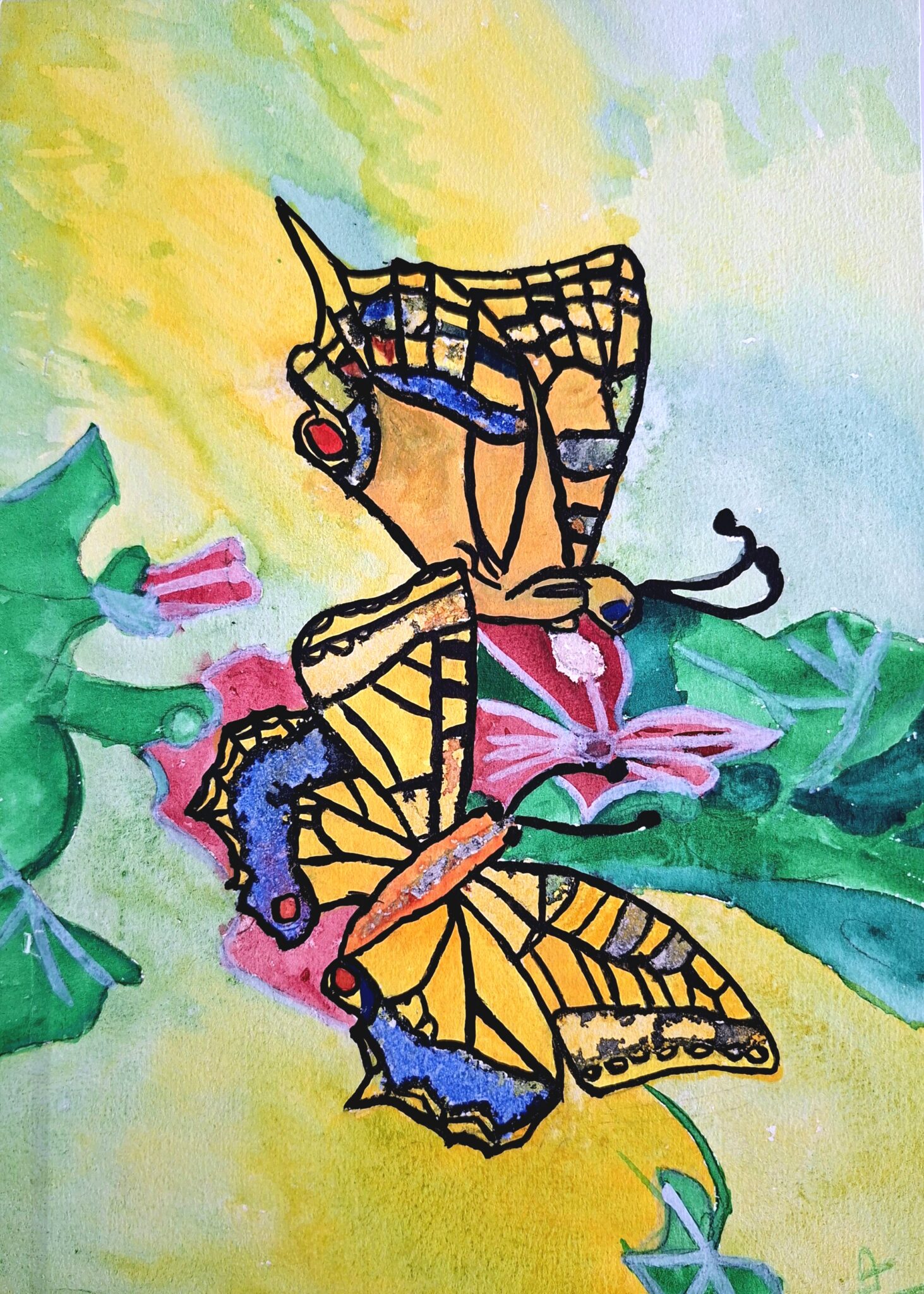 les-papillons-5