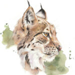 Féllini par 54259